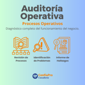 Auditoría Operativa