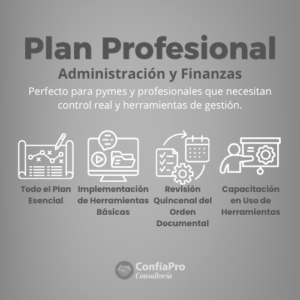 Plan Profesional