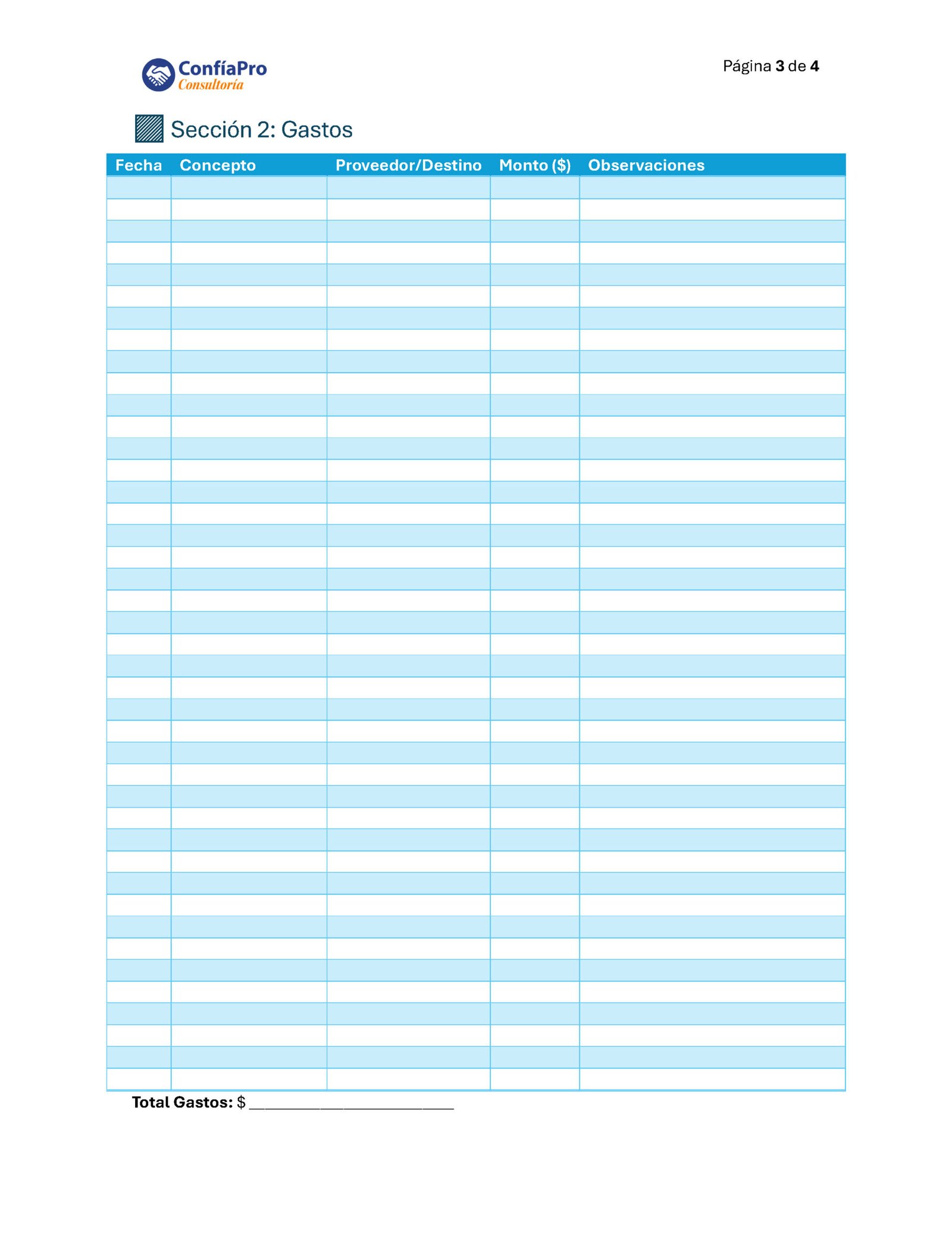 Plantilla Básica de Finanzas - Imagen 3